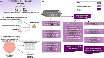 Exploring the Antibiotic Resistance Burden in Livestock, Livestock Handlers and Their Non-Livestock Handling Contacts: A One Health Perspective